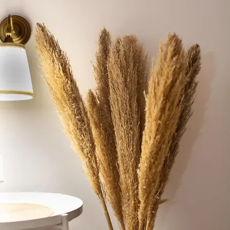 Affittacamere Noemie Athánion